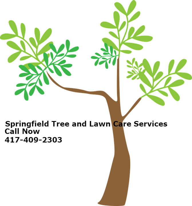 Tree Services and Lawn Care Image